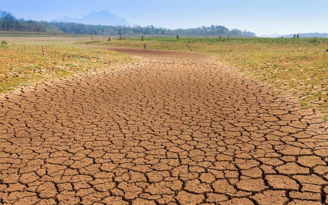 Über 200 NGOs fordern mehr Geld für Kampf gegen Hunger